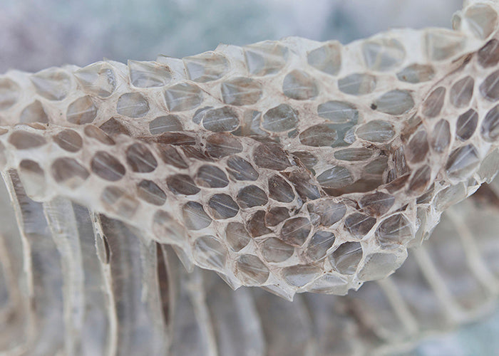 <I>Transformation</I><br>Mendocino, California, 2016<br><br>GC0417