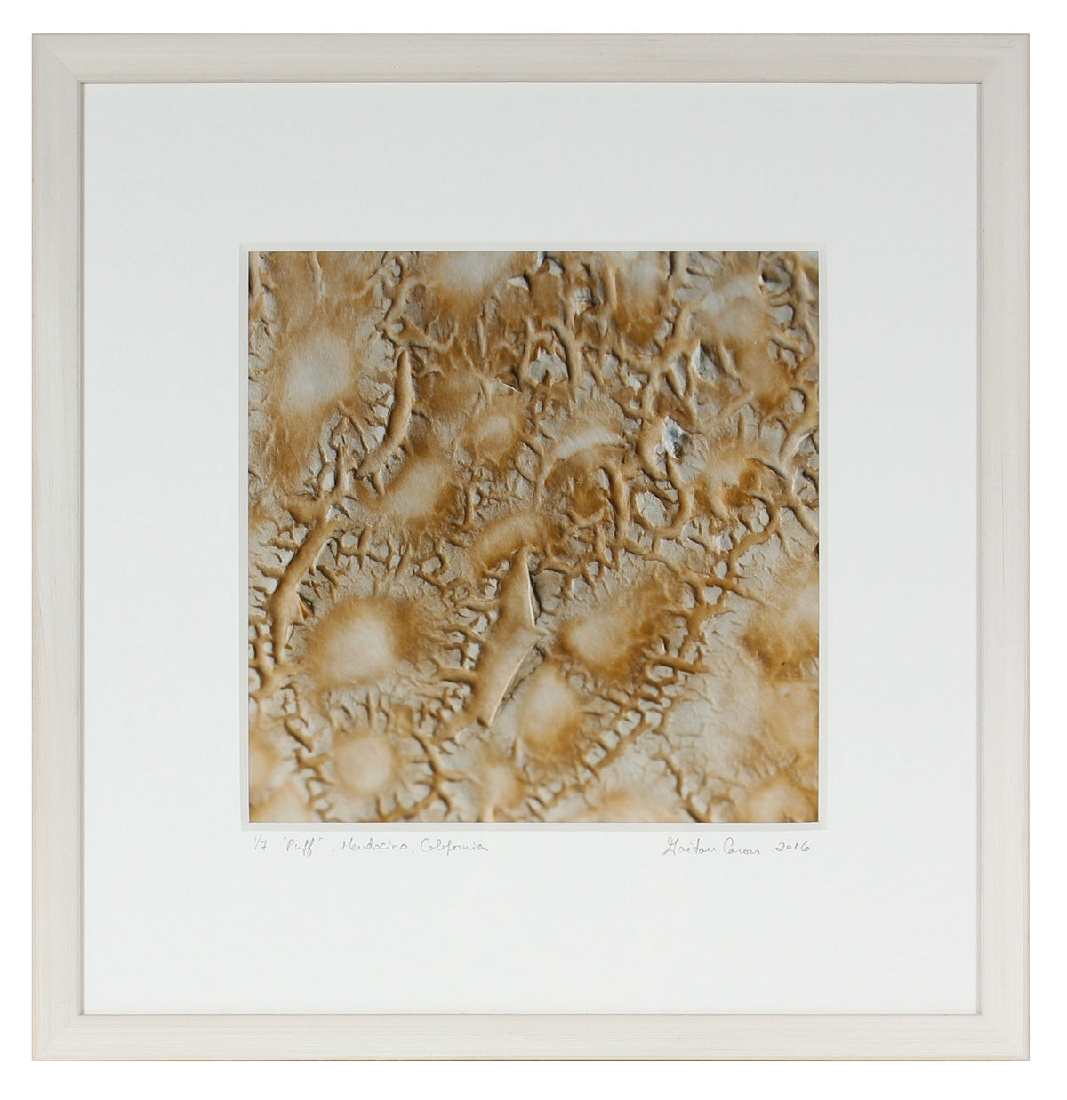 <I>Puff</I><br>Mendocino, California, 2016<br><br>GC0418