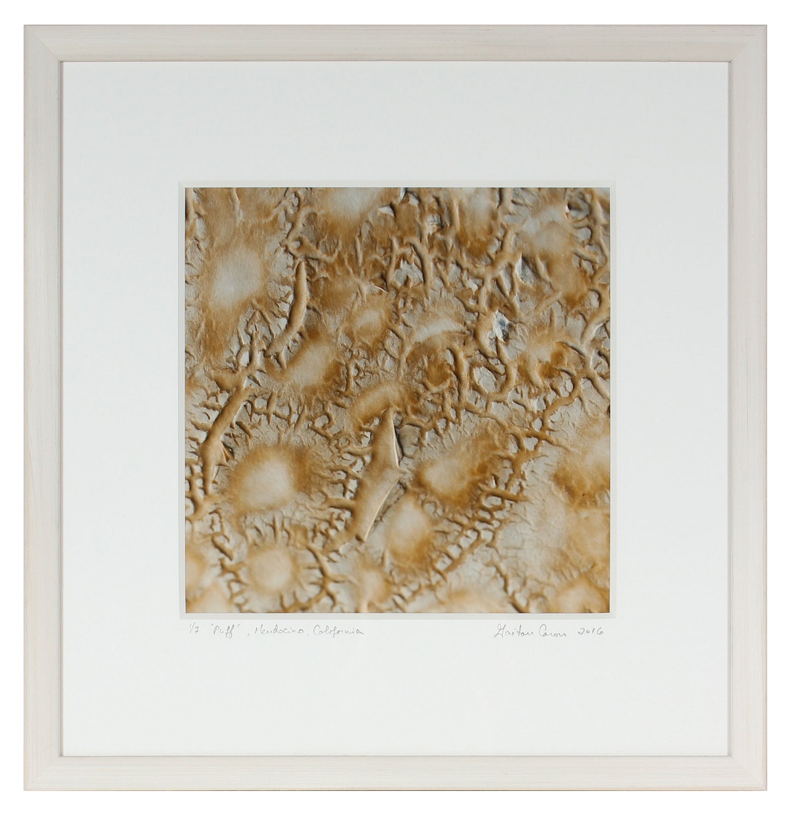 <I>Puff</I><br>Mendocino, California, 2016<br><br>GC0418