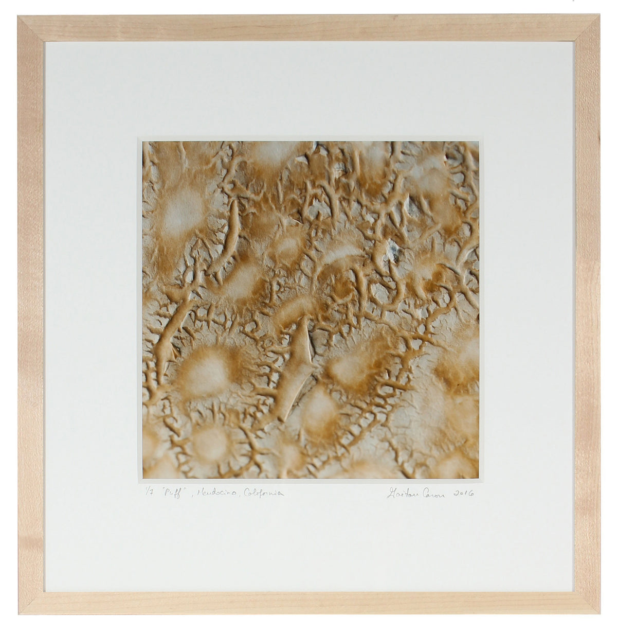 <I>Puff</I><br>Mendocino, California, 2016<br><br>GC0418