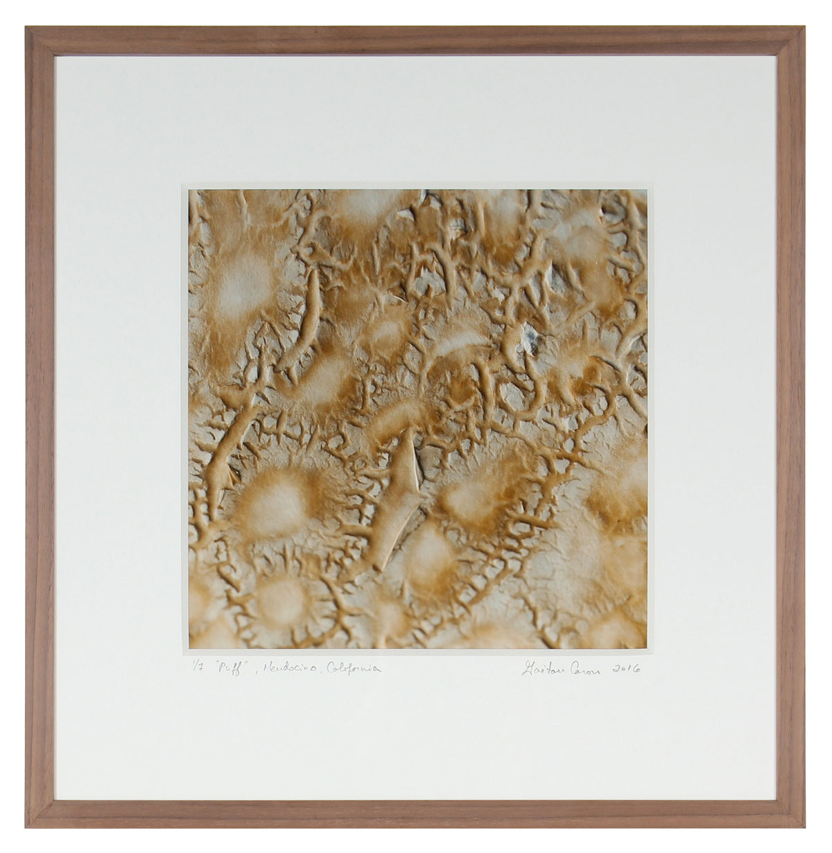 <I>Puff</I><br>Mendocino, California, 2016<br><br>GC0418