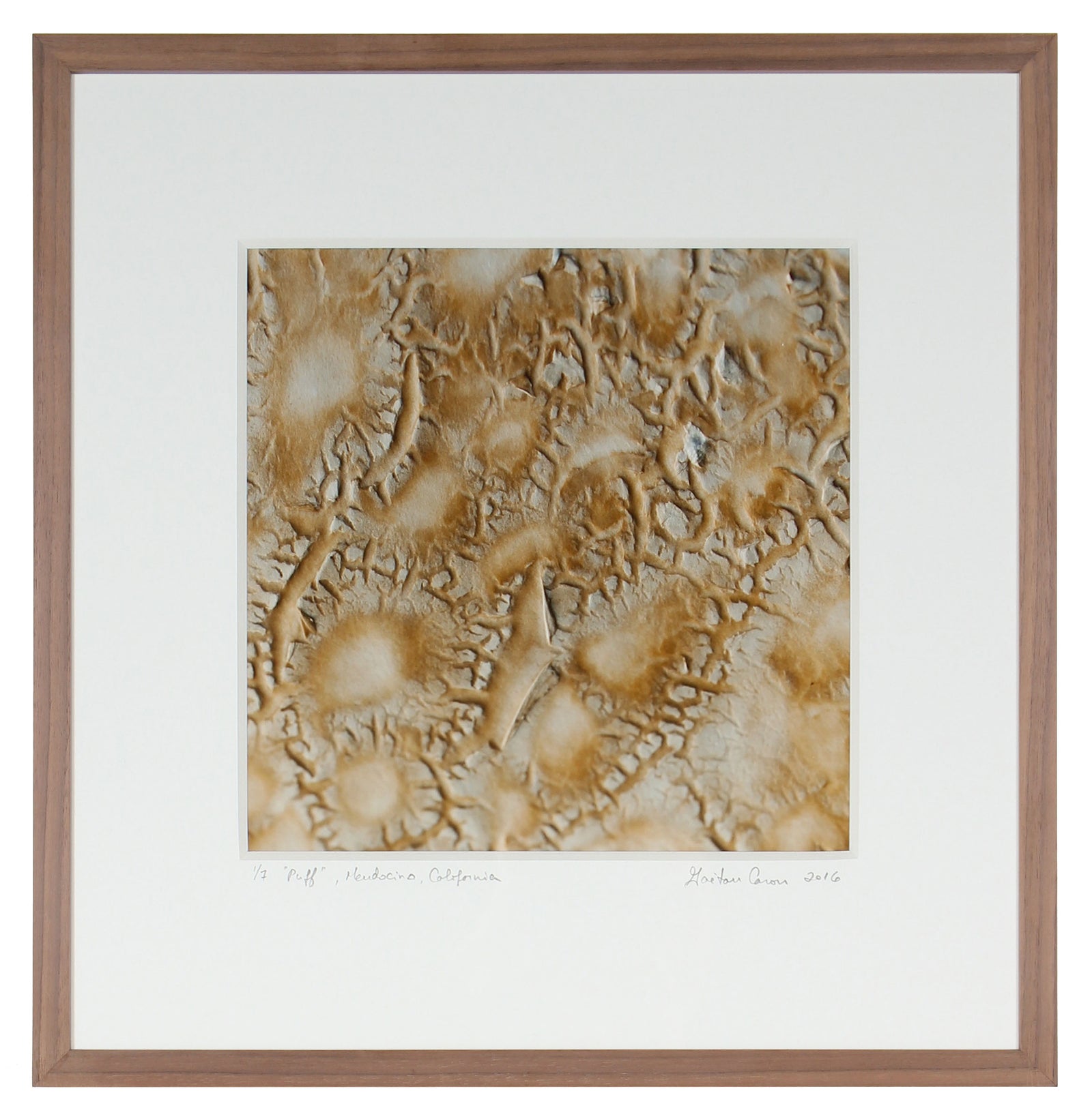 <I>Puff</I><br>Mendocino, California, 2016<br><br>GC0418