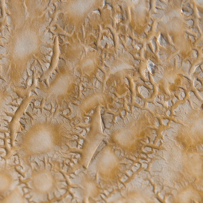 <I>Puff</I><br>Mendocino, California, 2016<br><br>GC0418