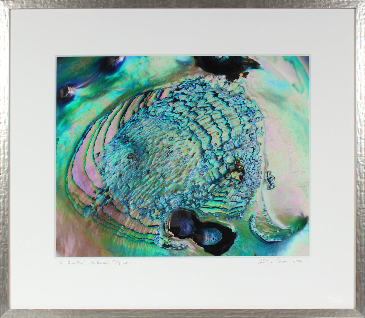 <I>Poseidon</I><br>Mendocino, California, 2016<br><br>GC0419