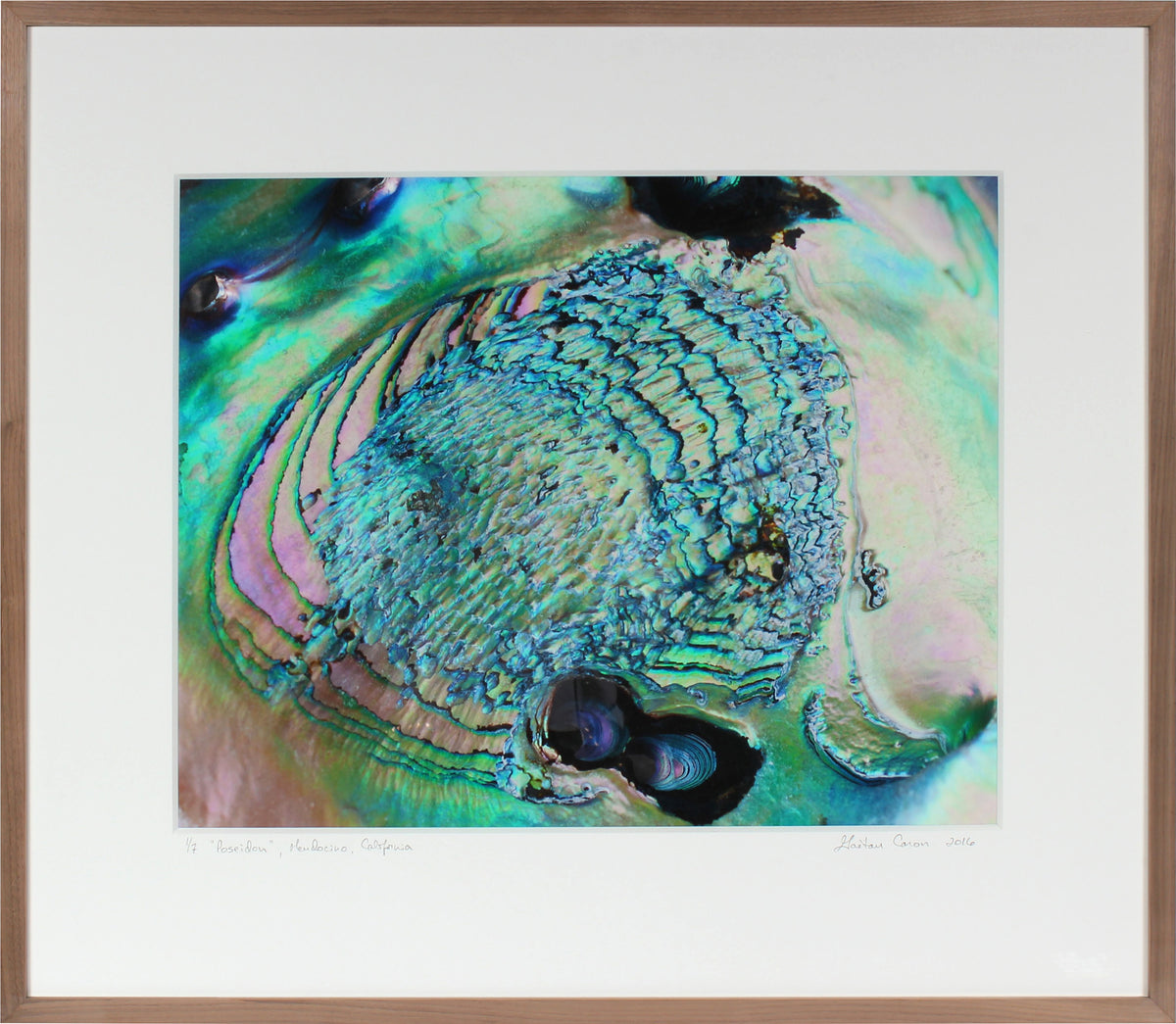 <I>Poseidon</I><br>Mendocino, California, 2016<br><br>GC0419