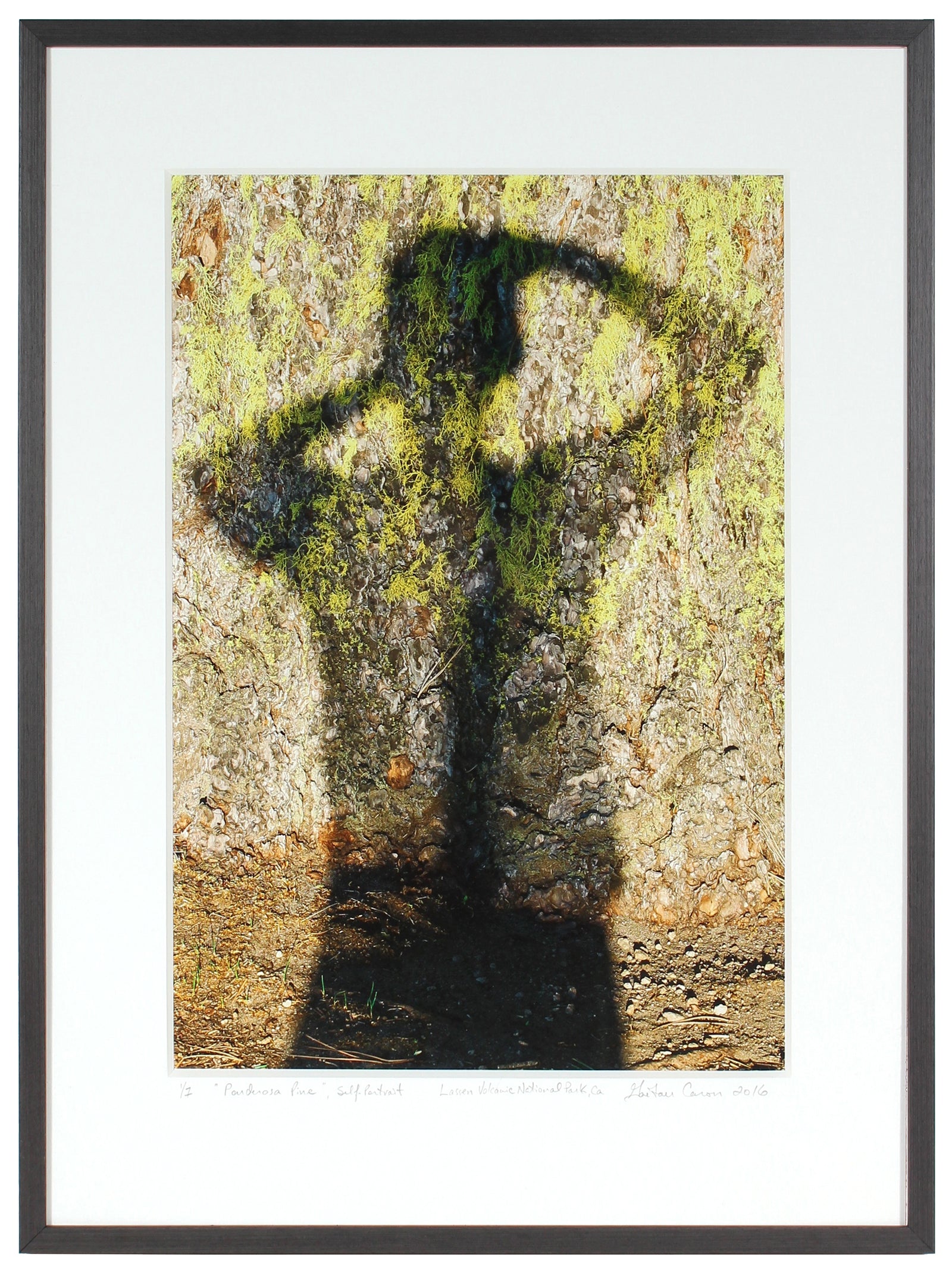 Gaétan Caron Photography - Lost Art Salon