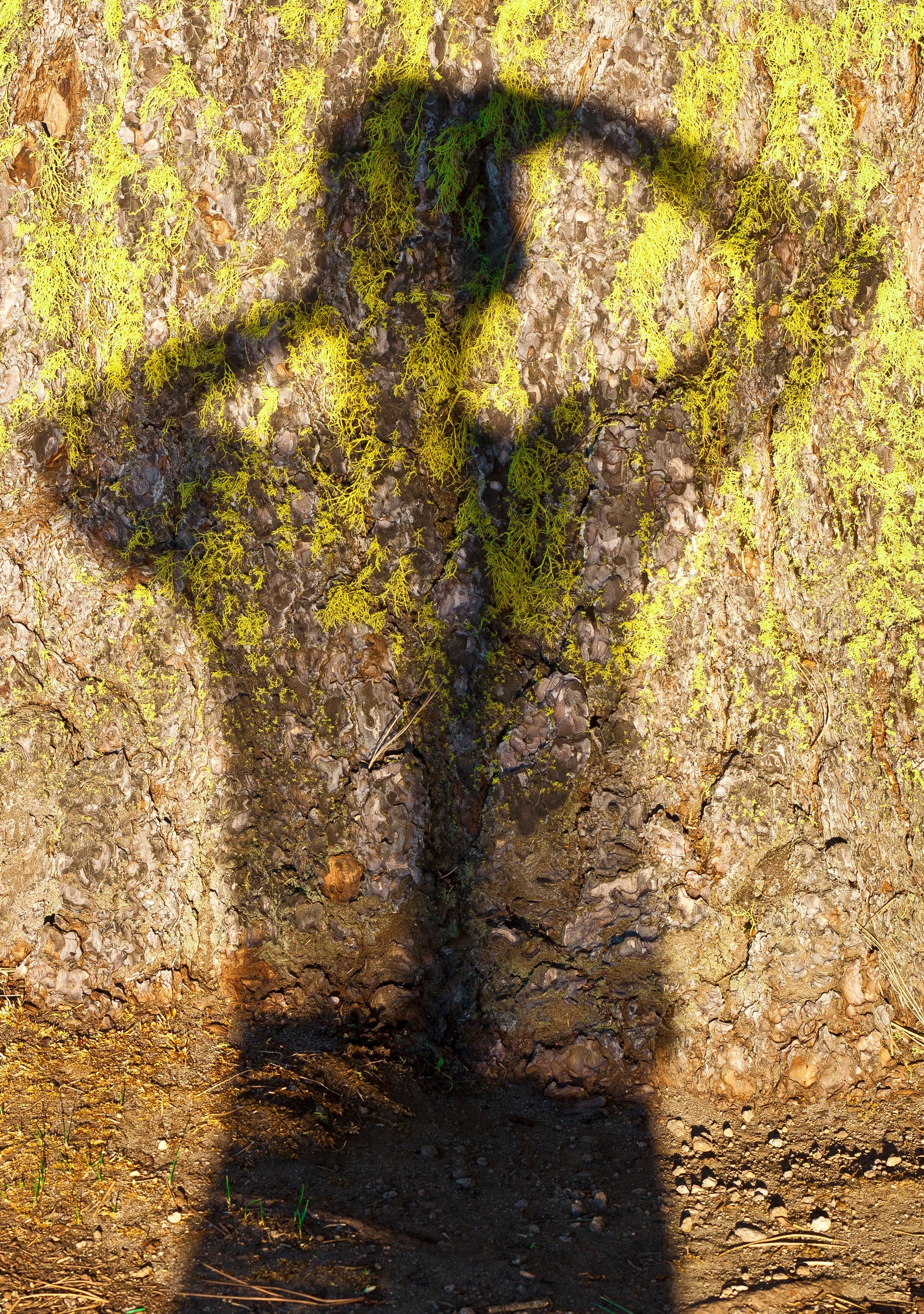 Gaétan Caron Photography - Lost Art Salon