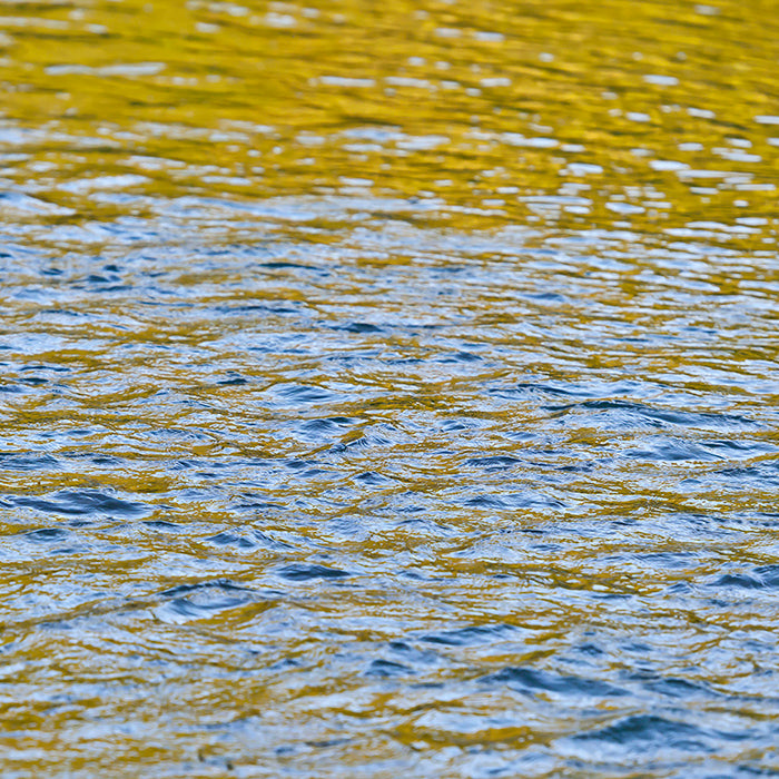 <I>Eel River Sunrise</I><br>Standish-Hickey, California State Park, Mendocino, California, 2016<br><br>GC0429