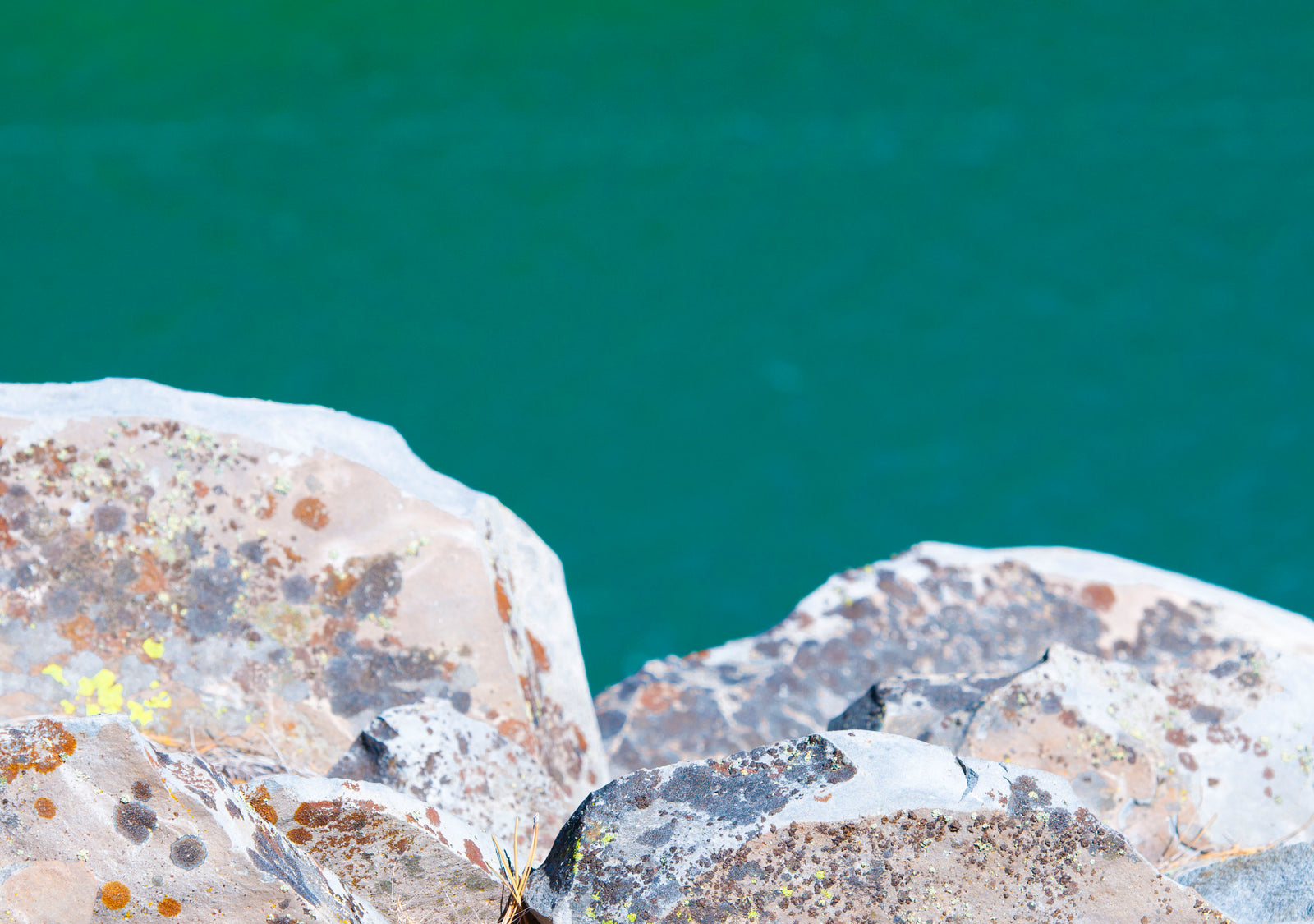 Gaétan Caron Photography - Lost Art Salon