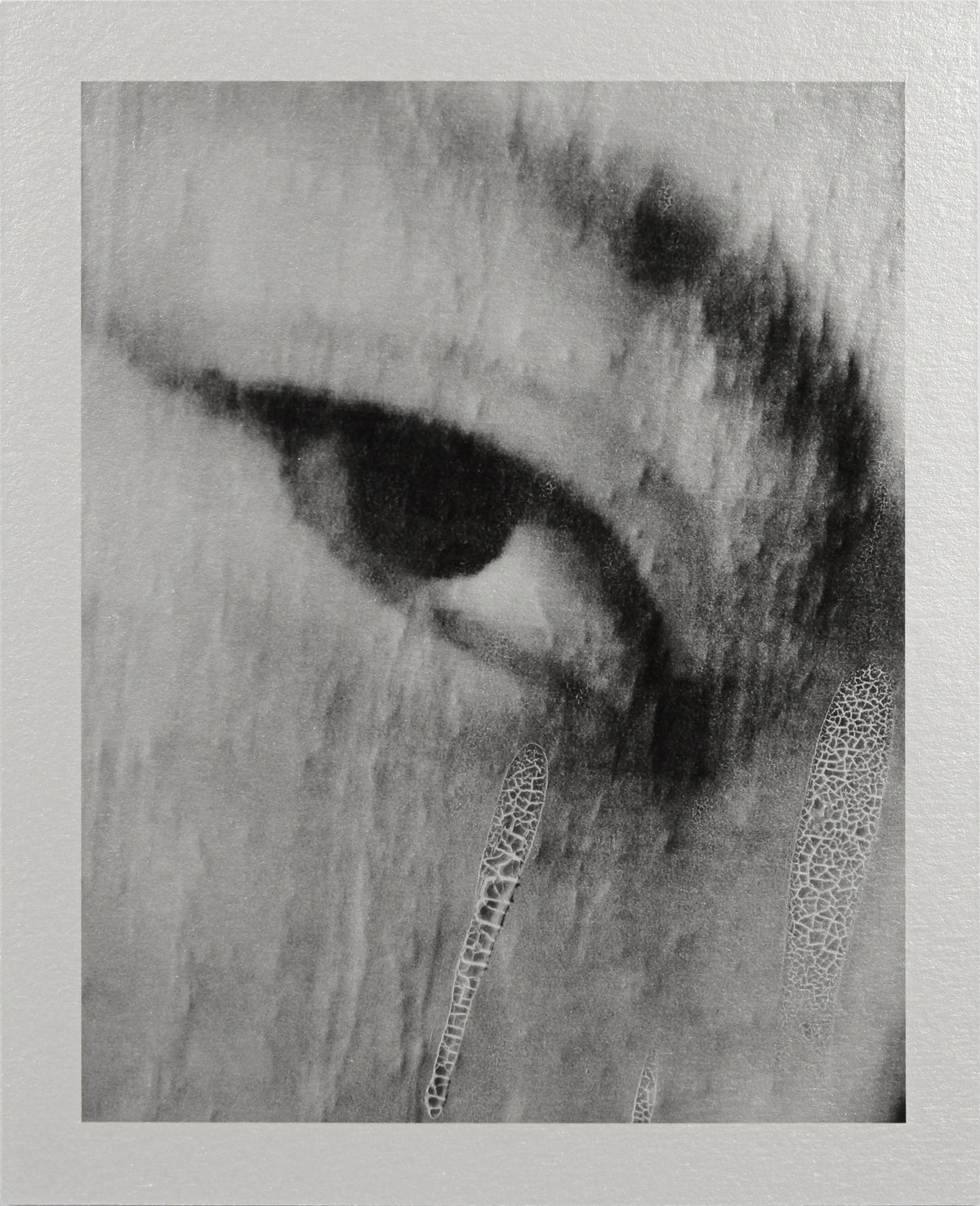 <i>Étoile de la mer</i><br> Louvre, Paris, France <br><br>GC0433