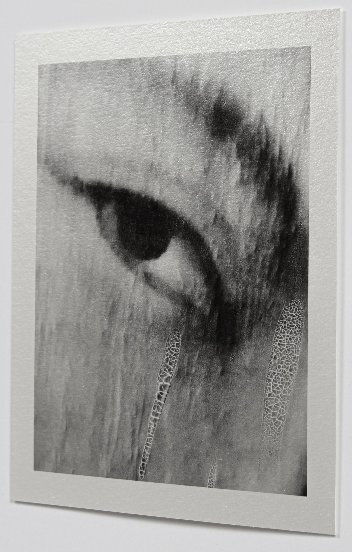 <i>Étoile de la mer</i><br> Louvre, Paris, France <br><br>GC0433