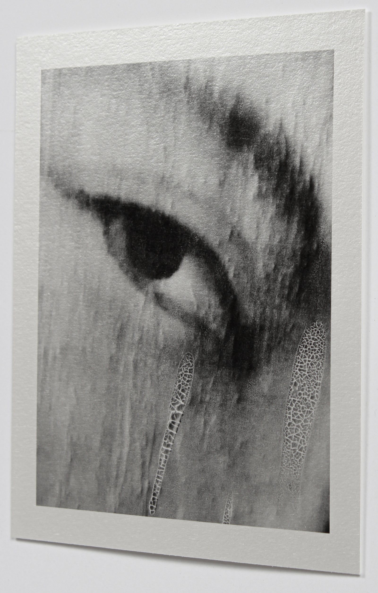 <i>Étoile de la mer</i><br> Louvre, Paris, France <br><br>GC0433