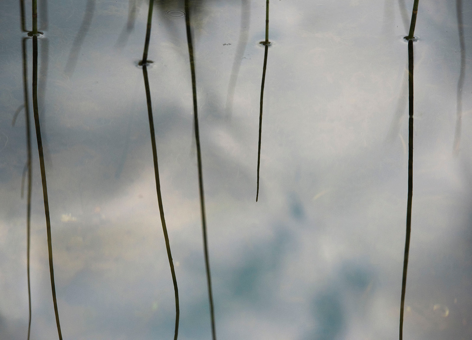 <i>Un rêve de mère (Mother’s Dream)</i> <br>Lac Perkins, Québec, Canada <br><br>GC0436