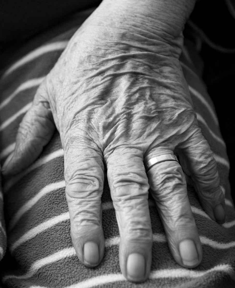 <i>Mother's Hand</i> <br>Windsor, Québec, Canada <br><br>GC0438