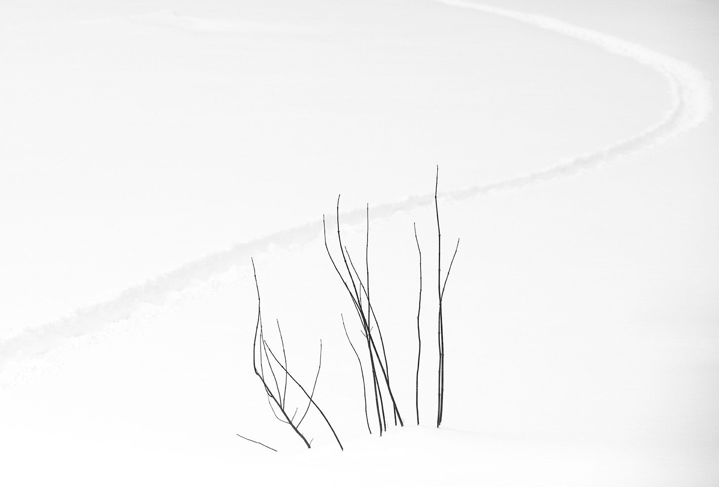 <i>Neige</i> <br>Lac Perkins, Québec, Canada <br><br>GC0442