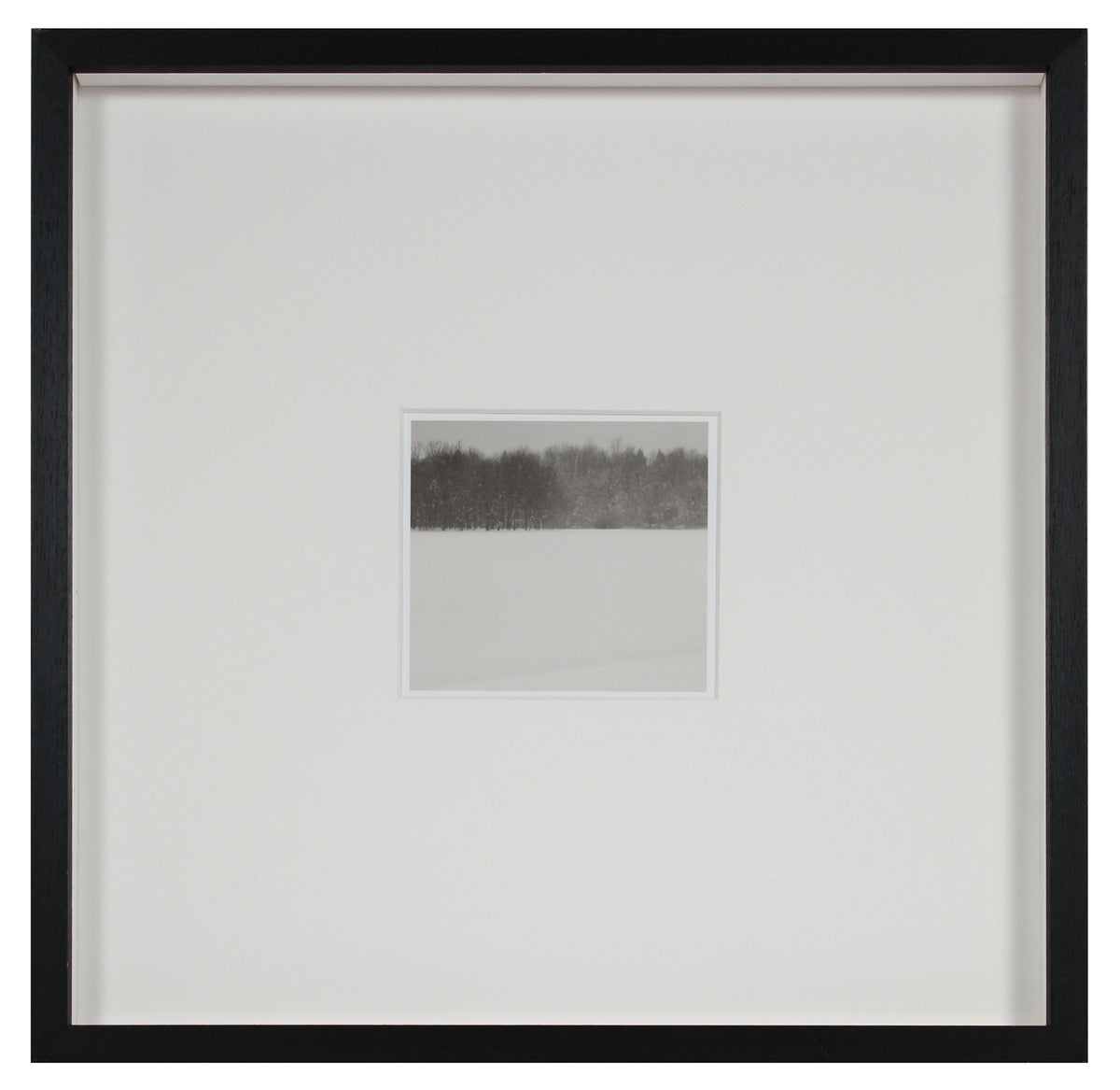 <i>Hibernation</i> <br>Lac Perkins, Québec, Canada <br><br>GC0447