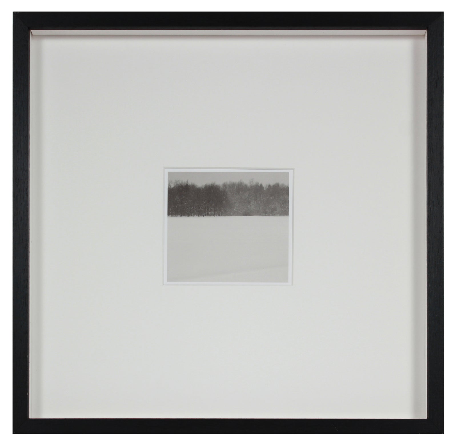 <i>Hibernation</i> <br>Lac Perkins, Québec, Canada <br><br>GC0447