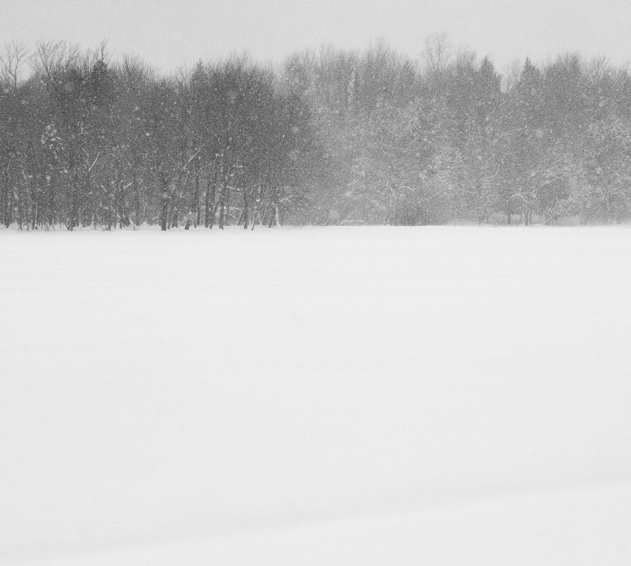 <i>Hibernation</i> <br>Lac Perkins, Québec, Canada <br><br>GC0447