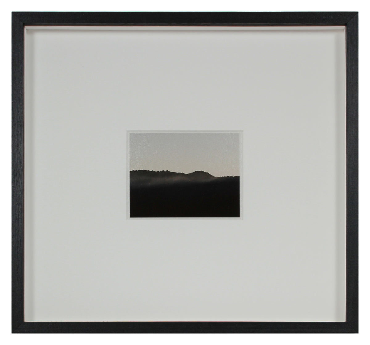 <i>Pine Ridge</i> <br>Mendocino, California <br><br>GC0448