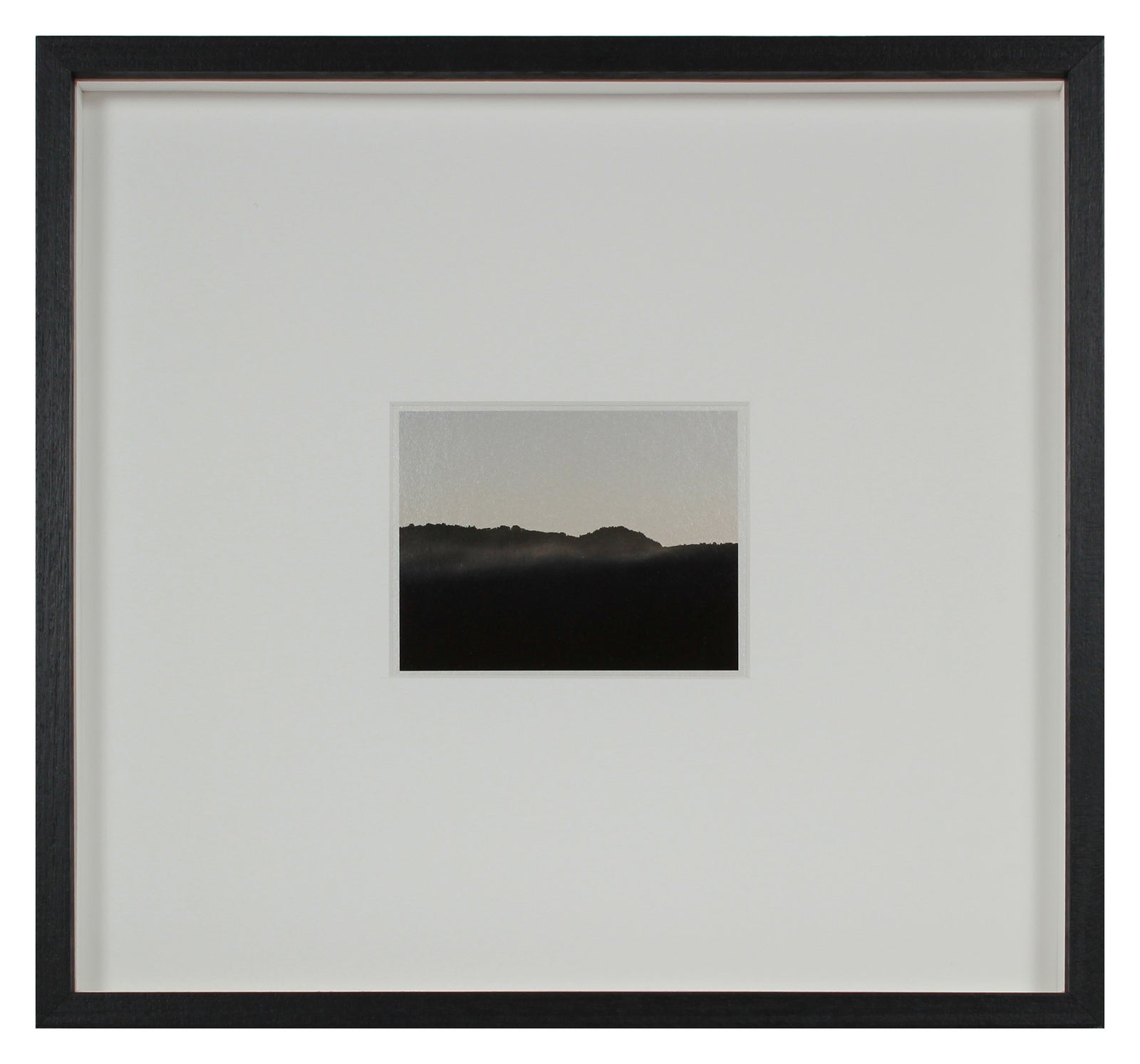 <i>Pine Ridge</i> <br>Mendocino, California <br><br>GC0448