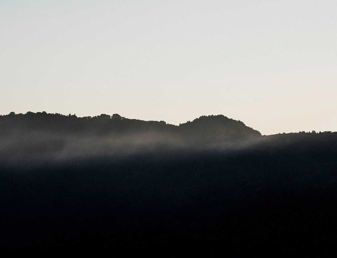 <i>Pine Ridge</i> <br>Mendocino, California <br><br>GC0448