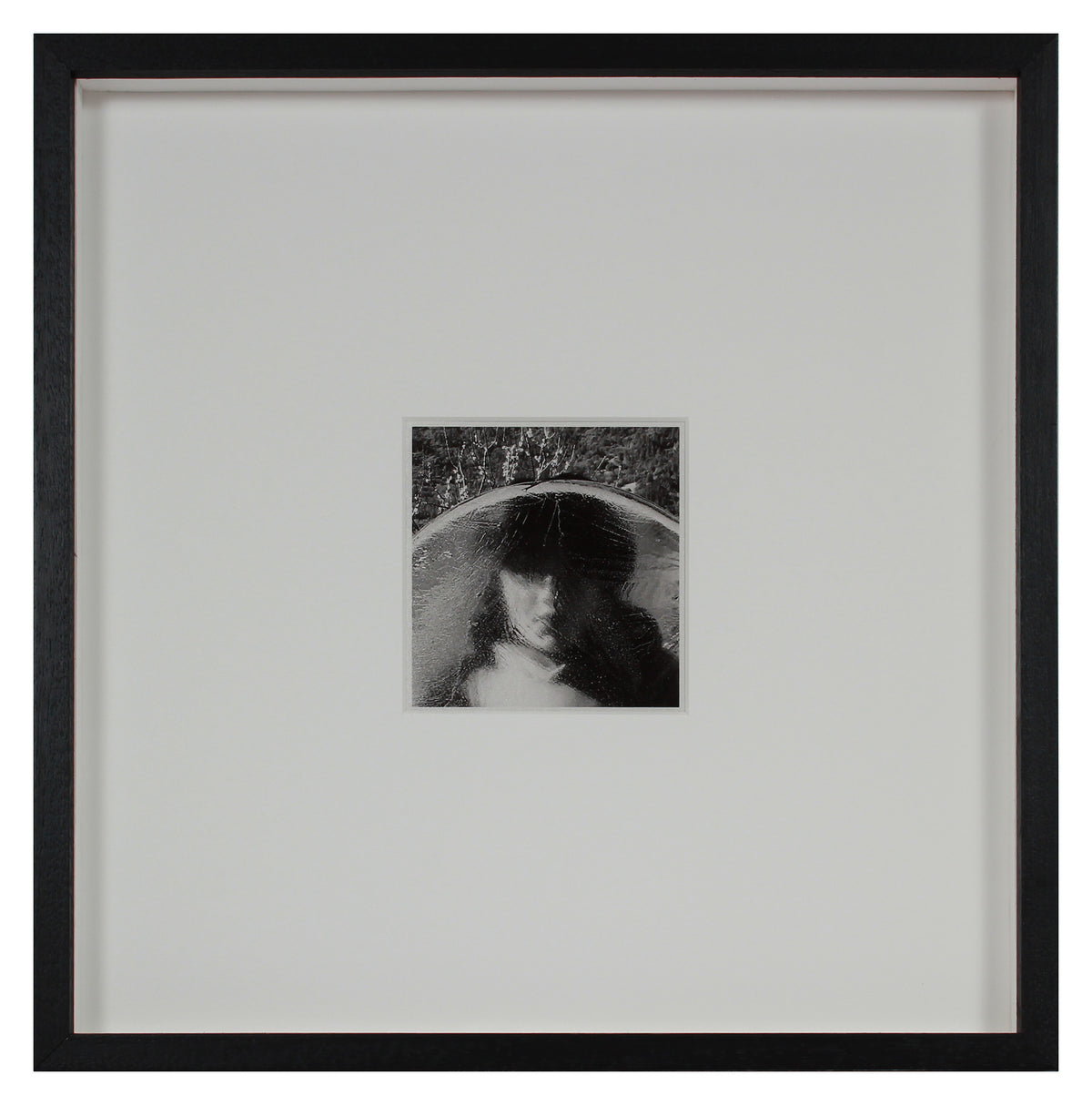 <i>Frozen</i> <br>Mendocino, California <br><br>GC0451