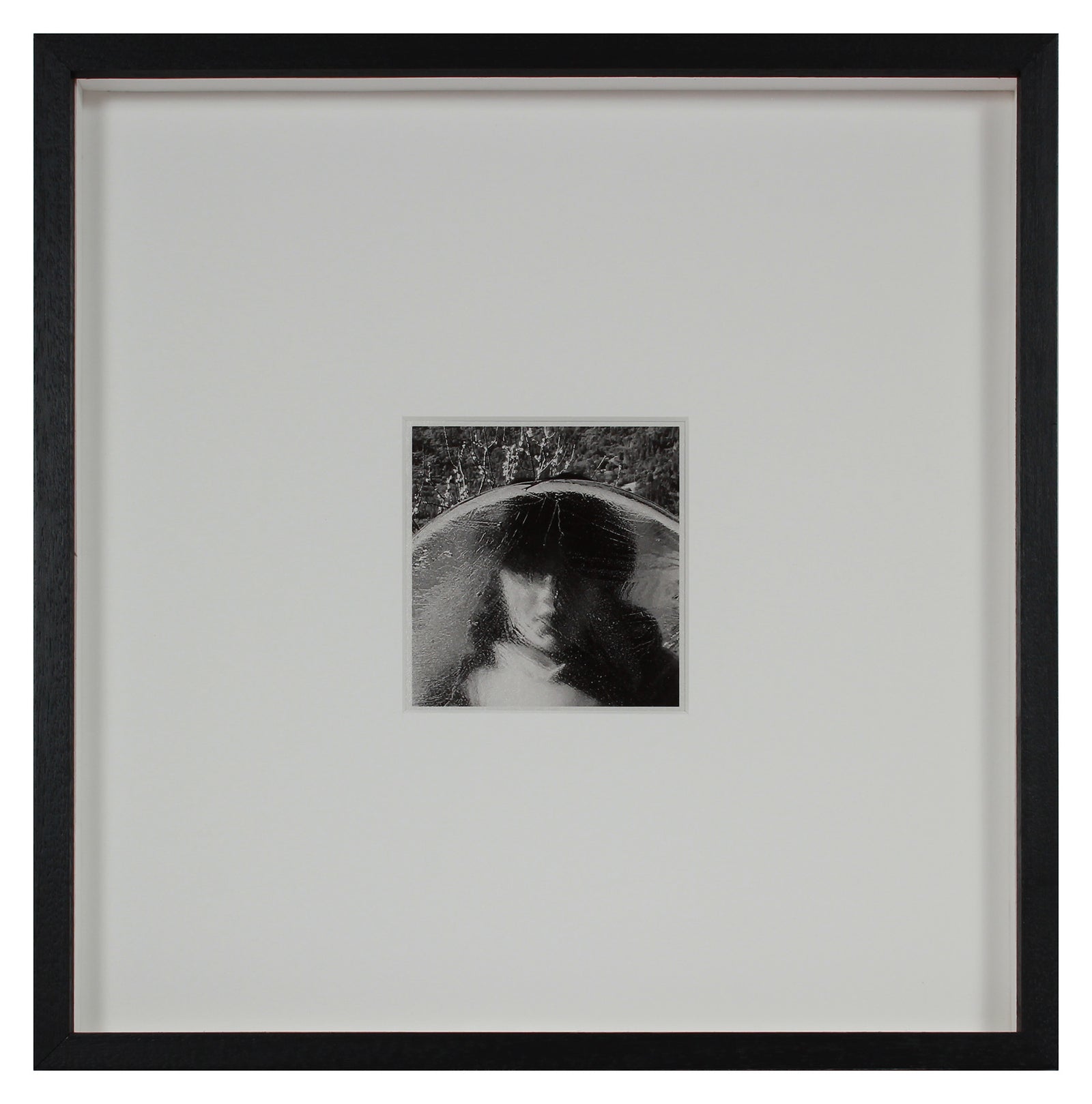 <i>Frozen</i> <br>Mendocino, California <br><br>GC0451