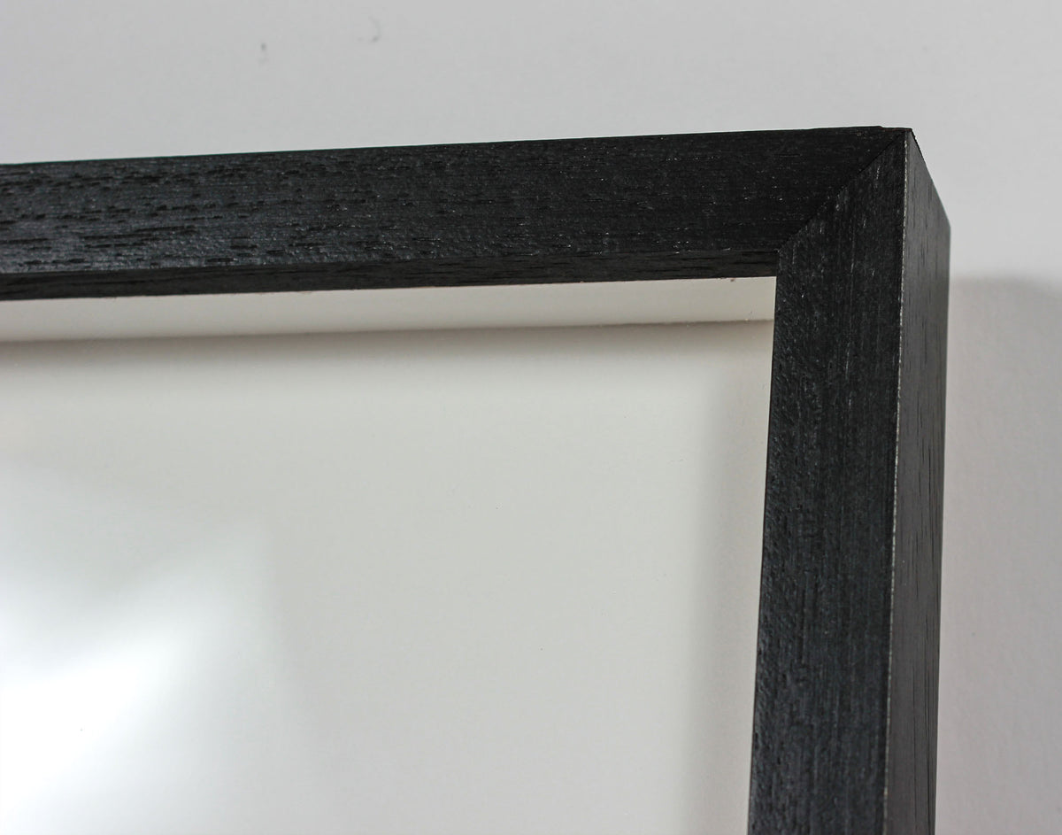 <i>Frozen</i> <br>Mendocino, California <br><br>GC0451