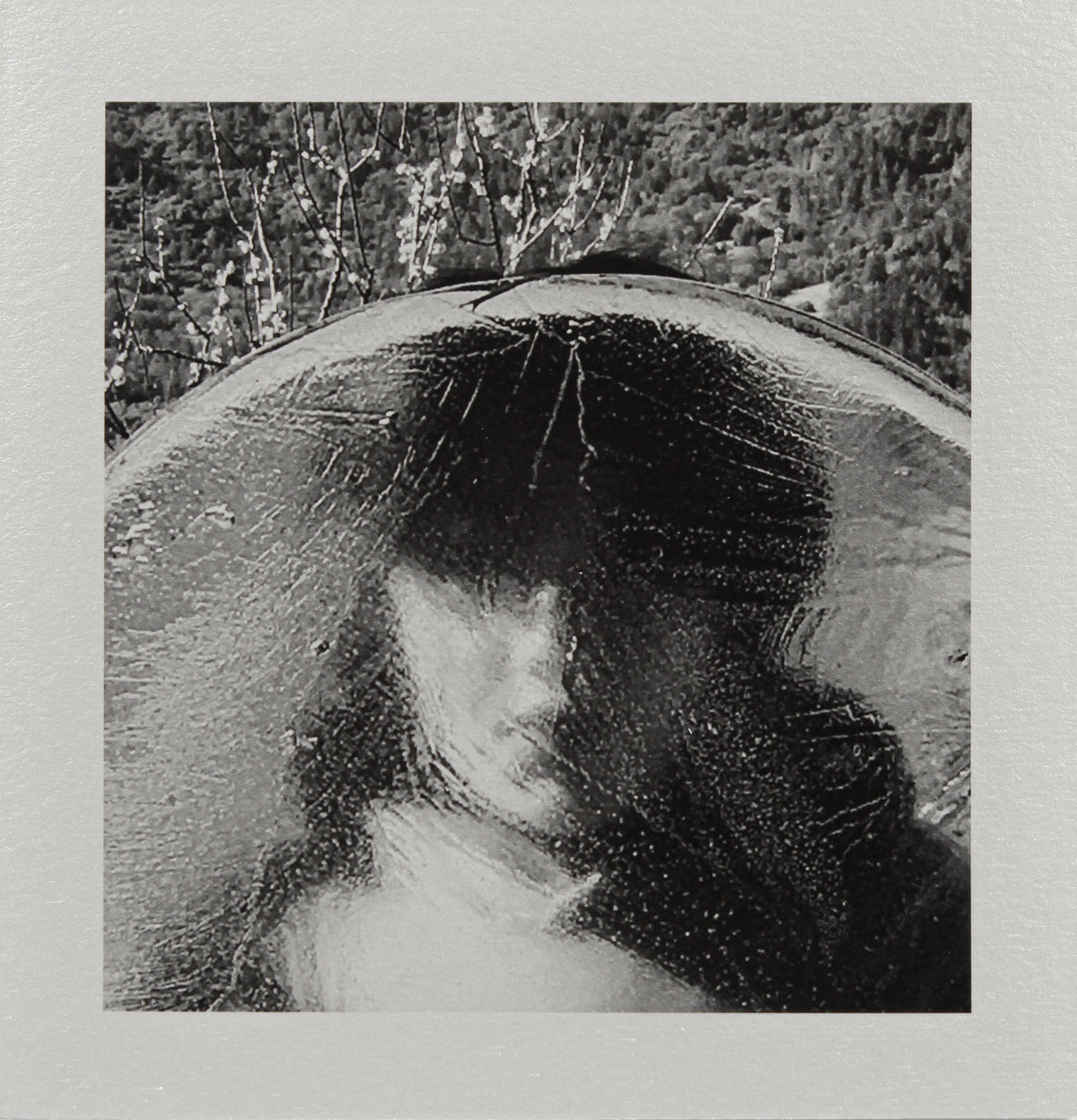 <i>Frozen</i> <br>Mendocino, California <br><br>GC0451