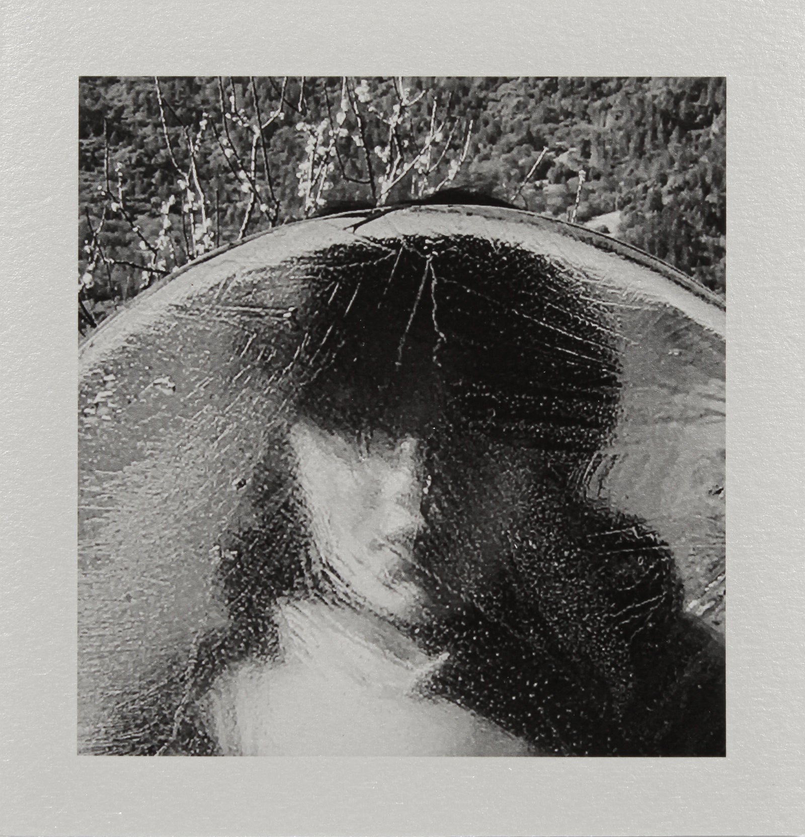 <i>Frozen</i> <br>Mendocino, California <br><br>GC0451