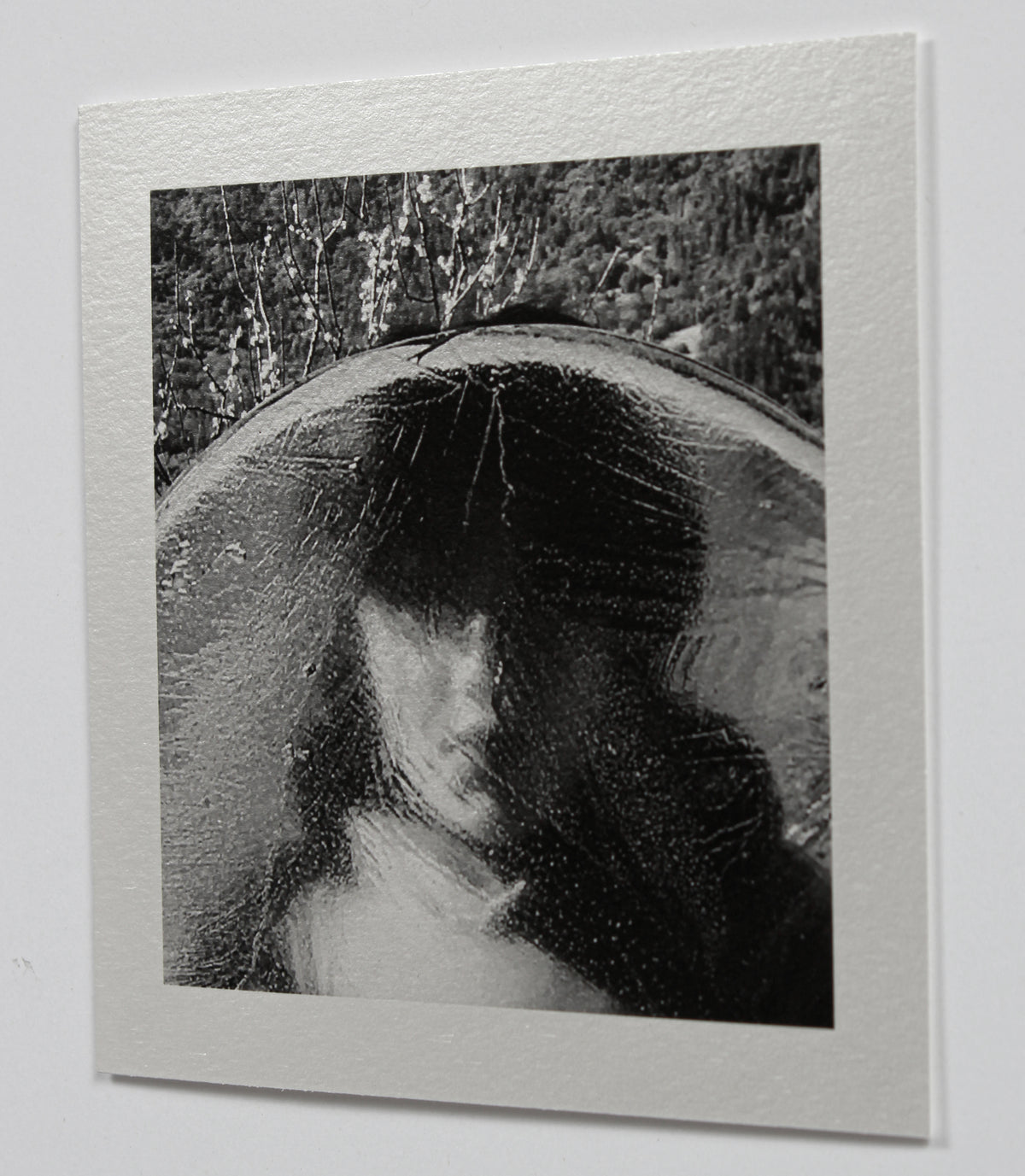 <i>Frozen</i> <br>Mendocino, California <br><br>GC0451