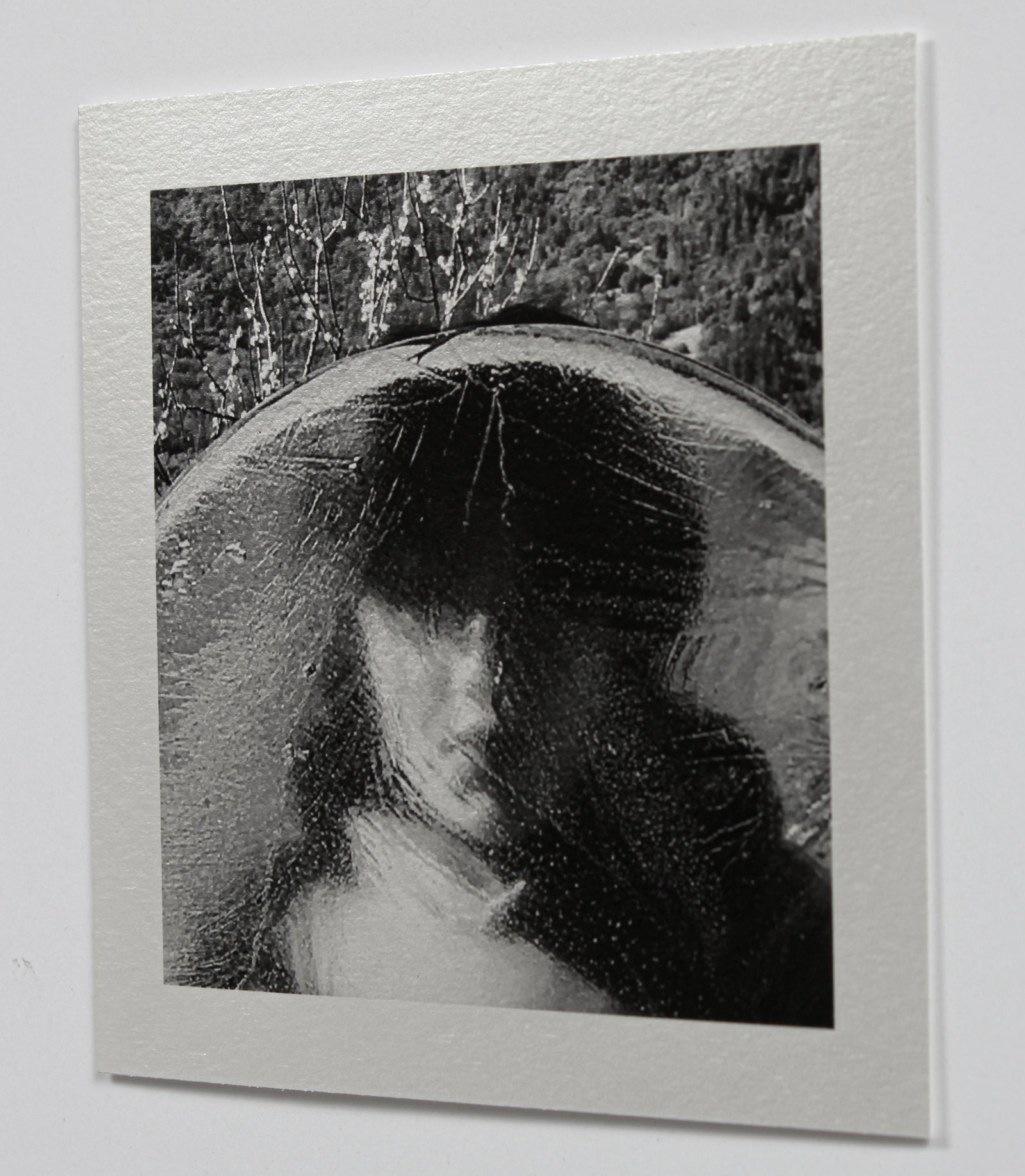 <i>Frozen</i> <br>Mendocino, California <br><br>GC0451