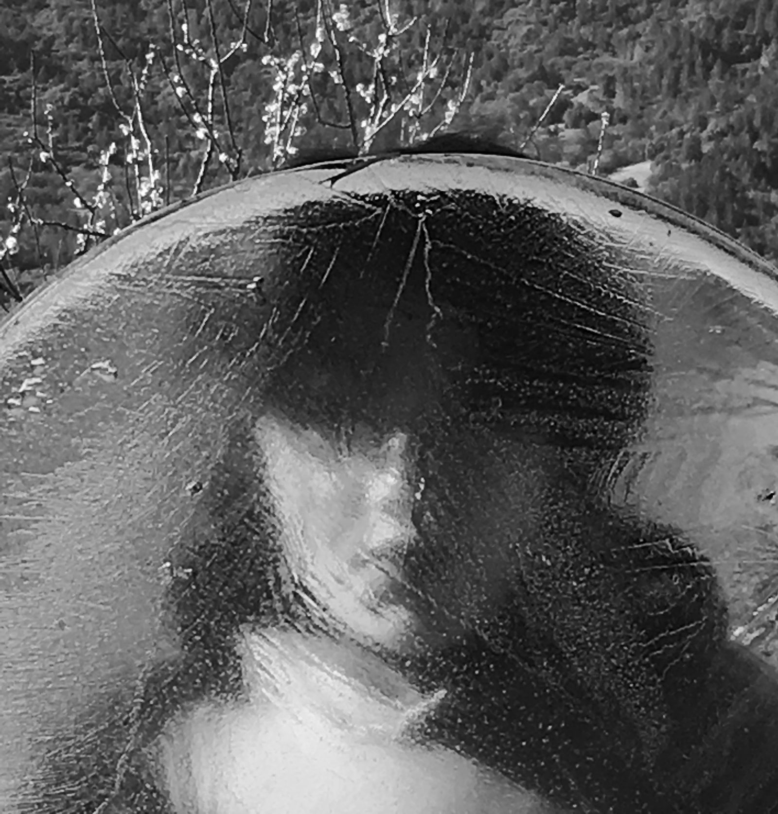 <i>Frozen</i> <br>Mendocino, California <br><br>GC0451