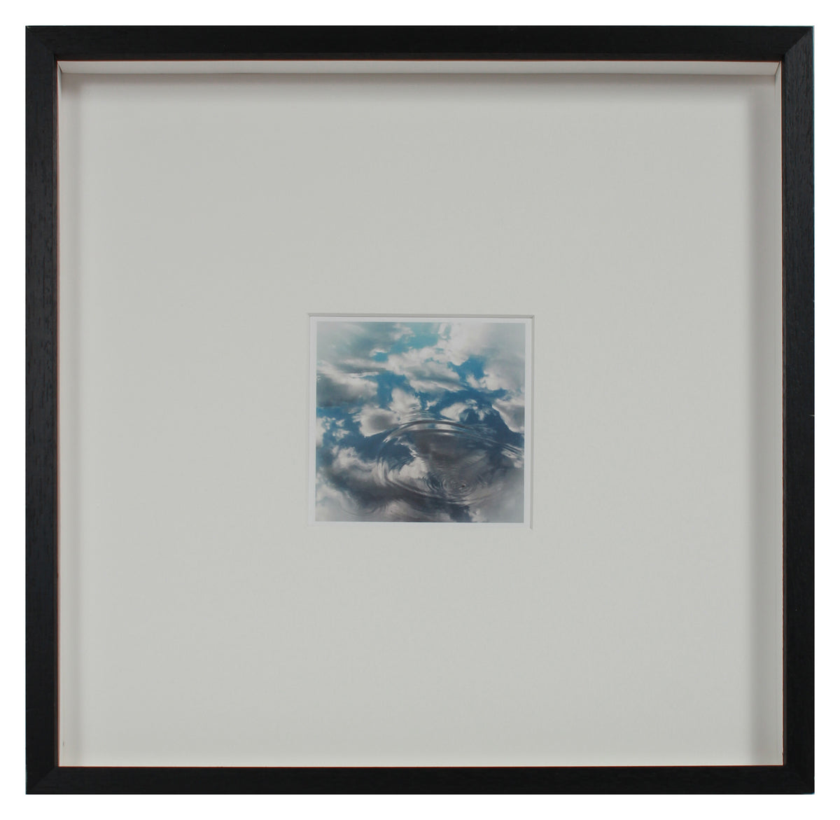 <i>Baby Blue Eyes</i> <br>Lac Perkins, Québec, Canada <br><br>GC0452