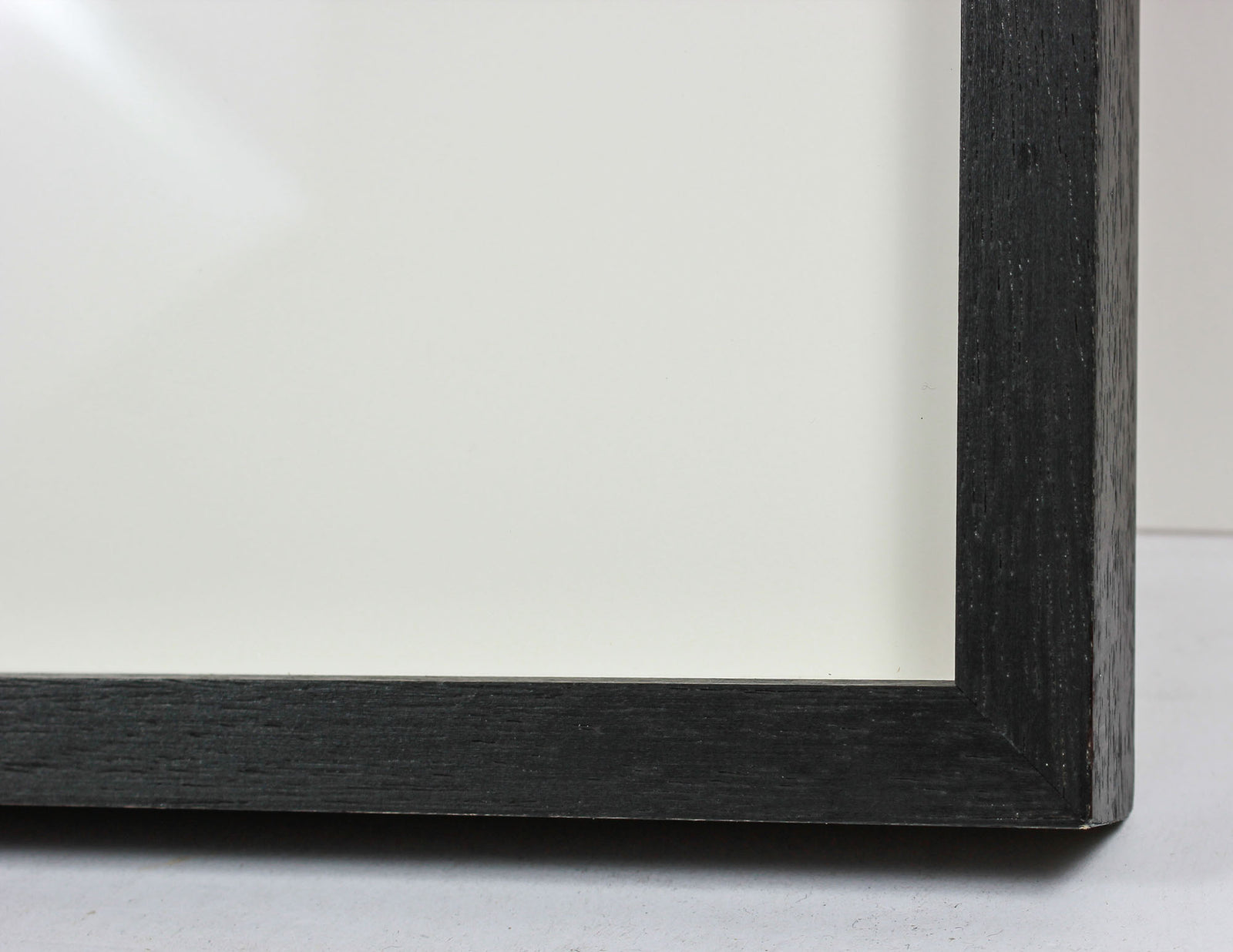 <i>Baby Blue Eyes</i> <br>Lac Perkins, Québec, Canada <br><br>GC0452