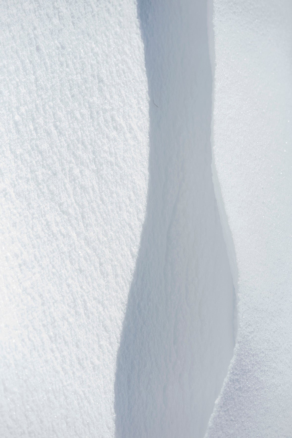 <i>Standing Nude</i> <br>Lac Perkins, Québec, Canada <br><br>GC0454