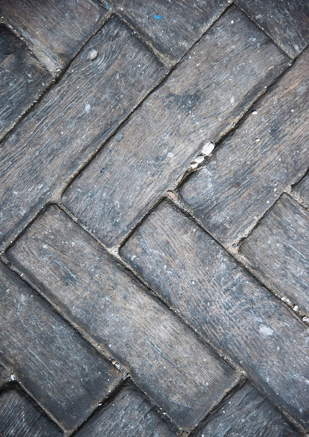 <i>Studio Parquet</i> <br>2019 Paris, France <br><br>GC0474