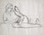 Playful Kittens & Girl<br>1930s Graphite Drawing<br><br>#0013