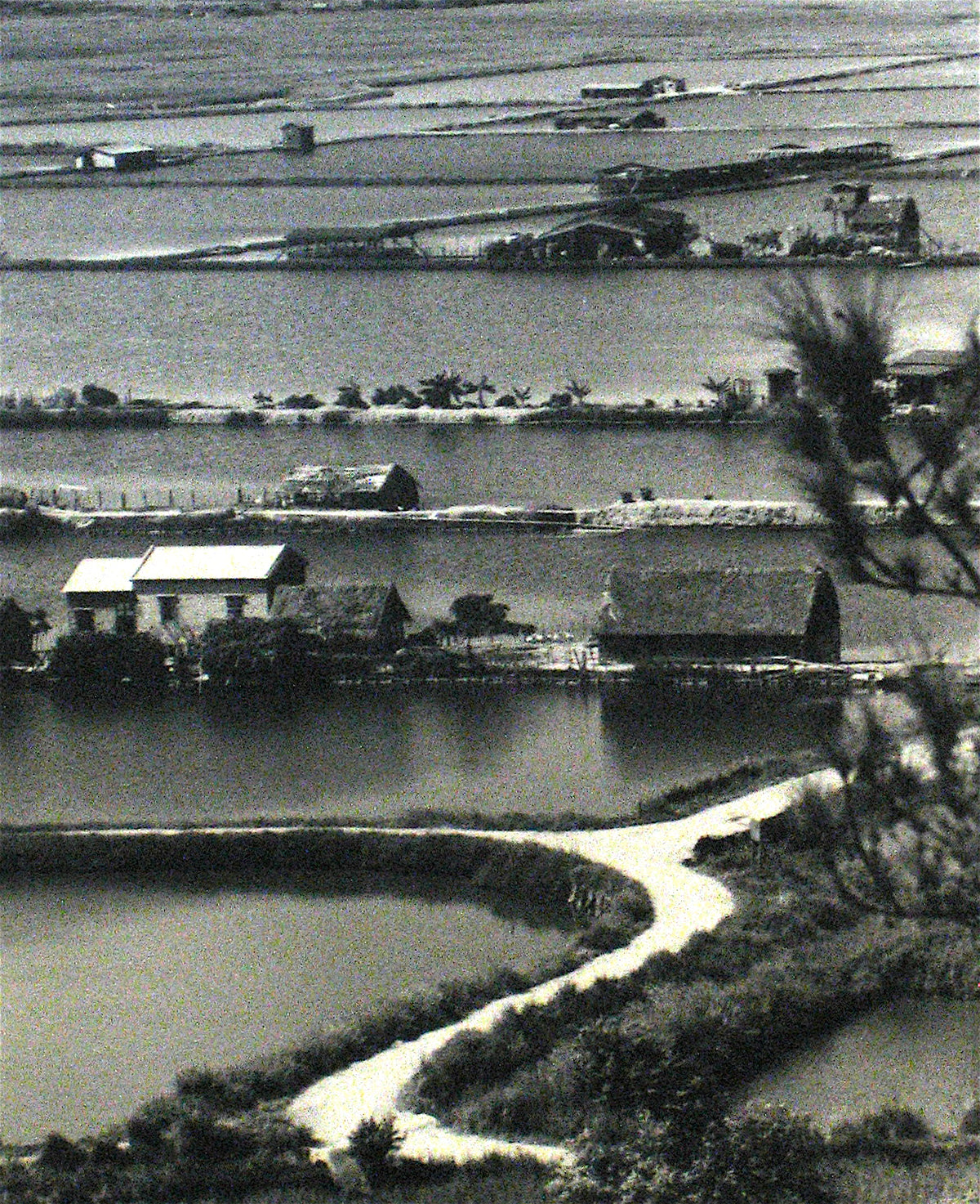 Aerial View of Hong Kong &lt;br&gt;1960s Photograph &lt;br&gt;&lt;br&gt;#12270