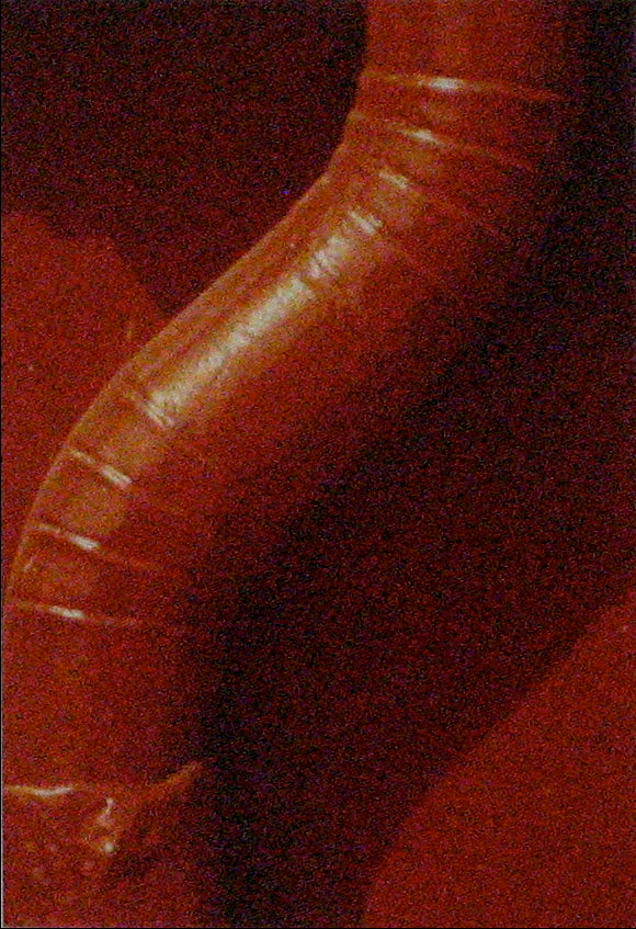 <i>City Art 96</i> <br>1970s Photograph <br><br>#12582