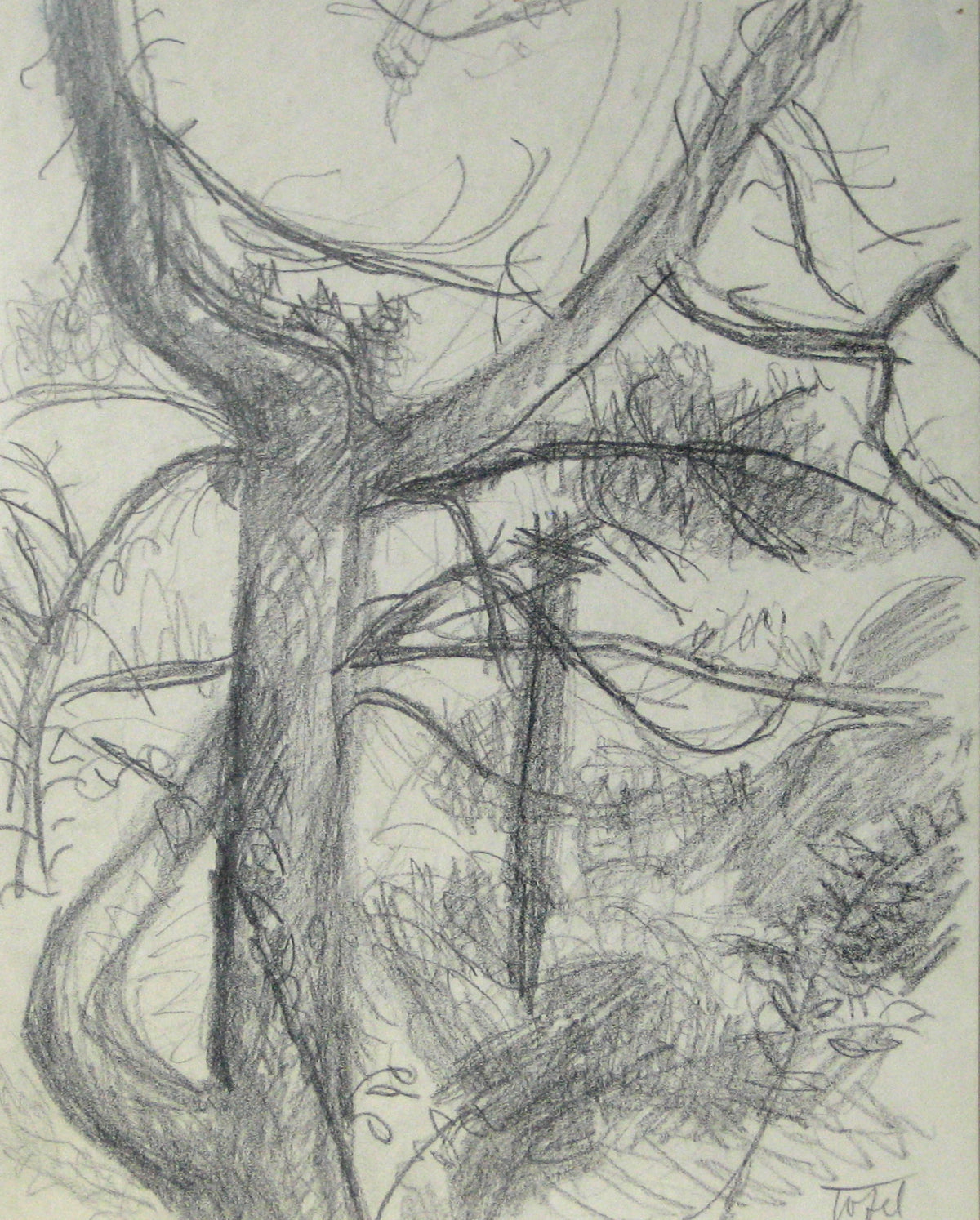 Abstracted Graphite Tree&lt;br&gt;Early-Mid 20th Century&lt;br&gt;&lt;br&gt;#13411