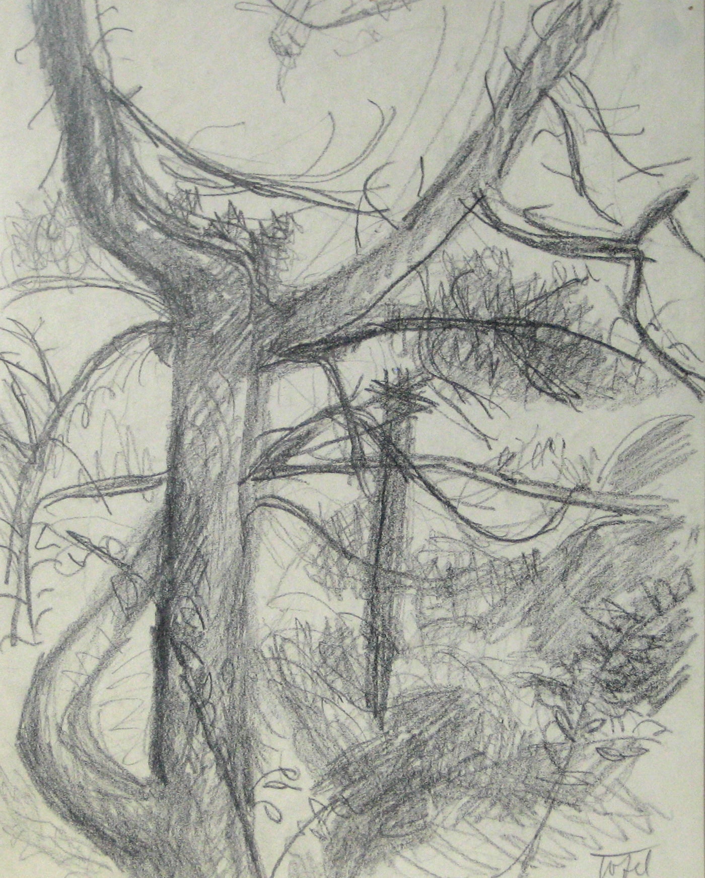 Abstracted Graphite Tree<br>Early-Mid 20th Century<br><br>#13411