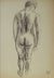 Abstracted Nude Figure Model <br>Early-Mid 20th Century Ink on Paper <br><br>#13652