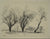 Minimalist Landscape with Trees<br>Early-Mid 20th Century Ink<br><br>#14294
