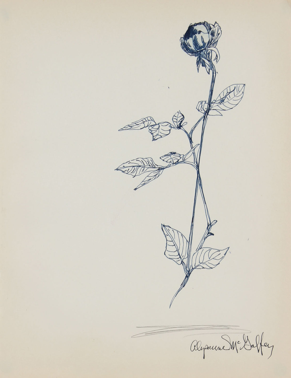 Rosebud Drawing &lt;br&gt;1950-60s Ink &lt;br&gt;&lt;br&gt;#22967