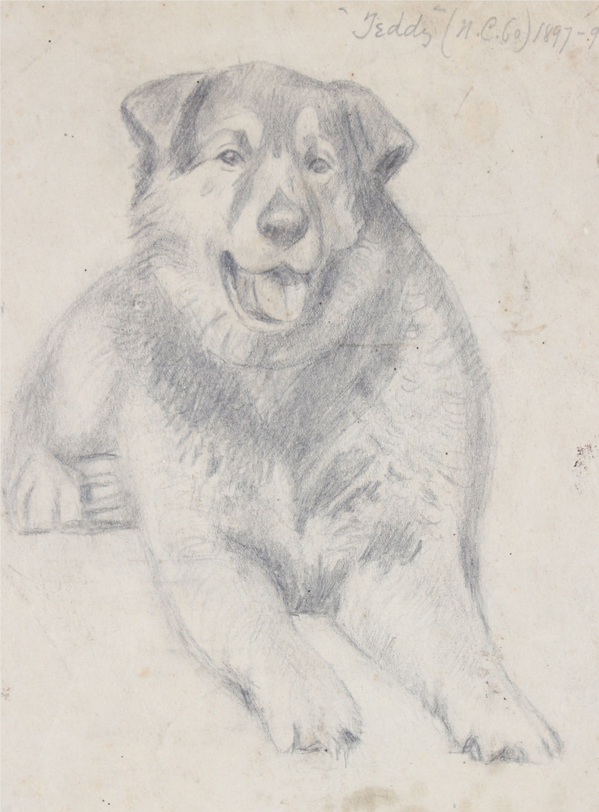 <i>Teddy</i> <br>1897-99 Graphite <br><br>#35786