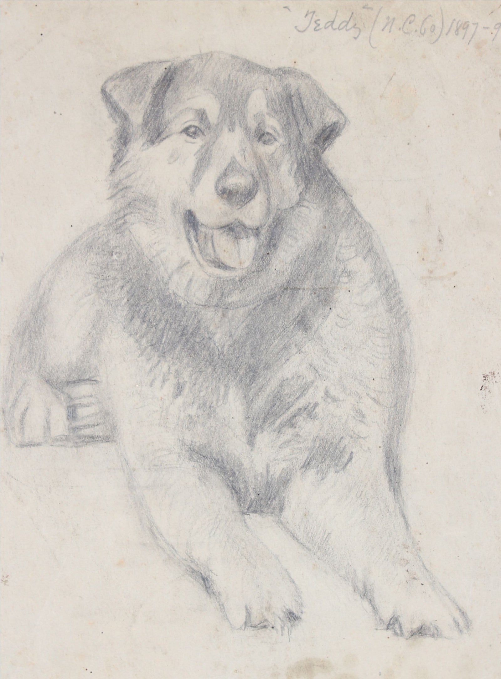 <i>Teddy</i> <br>1897-99 Graphite <br><br>#35786