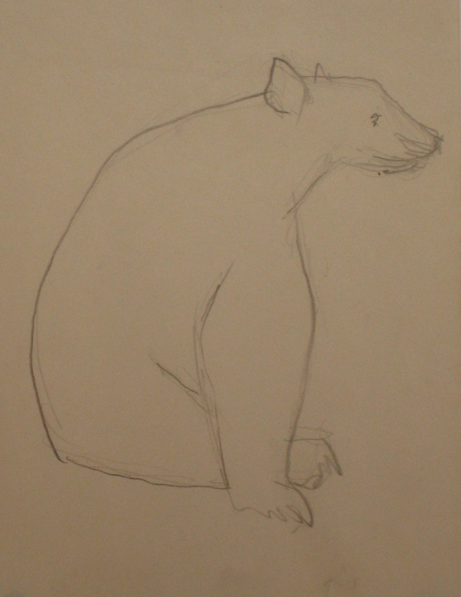 Resting Bear<br>Mid Century Graphite<br><br>#4750