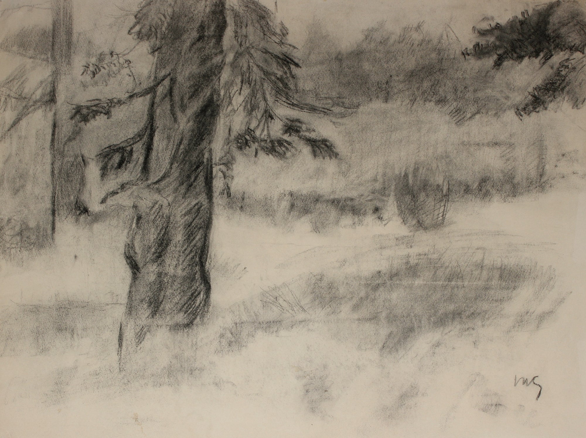 Monochromatic Forrest Scene <br>Mid 20th Century Charcoal <br><br>#49663