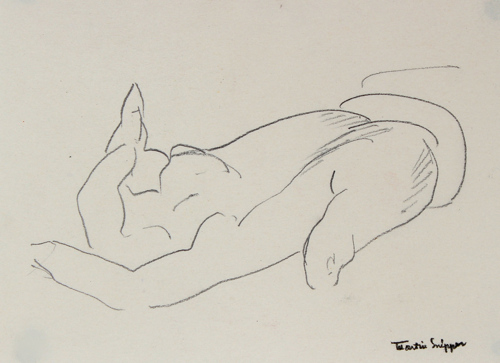 Modernist Hand Study<br>Mid Century Graphite<br><br>#49675